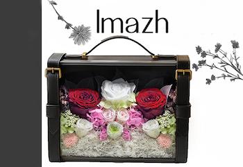 باکس ایماژ با رز های جاودان قرمز