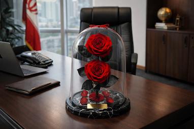 رز جاودان چیست و چرا بهترین انتخاب برای هدیه خاص است؟